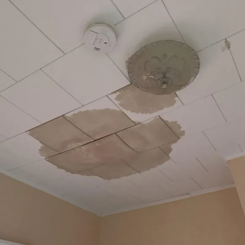 Ceiling Water Damage Repair in Saint Hedwig, TX