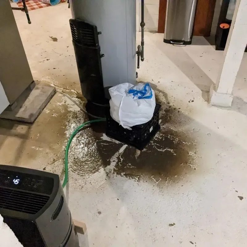 Sewage Backup Cleanup Service in Saint Hedwig, TX